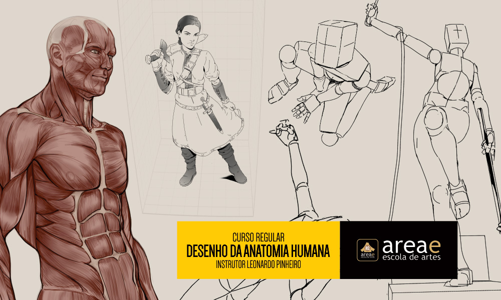 Curso de desenho da estrutura da anatomia humana