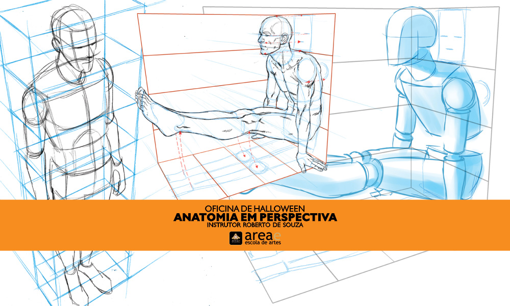 Curso de anatomia em perspectiva